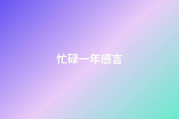 忙碌一年感言