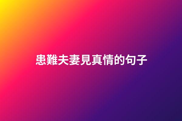 患難夫妻見真情的句子