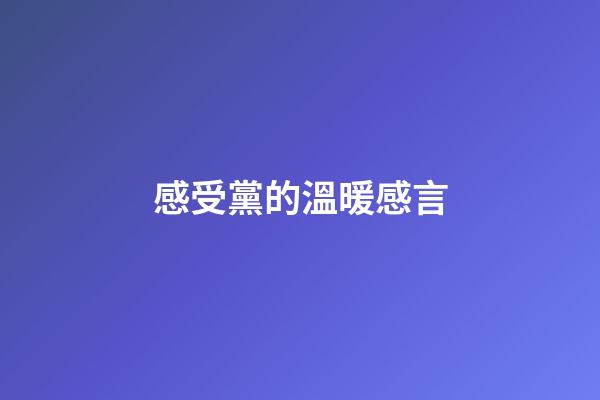 感受黨的溫暖感言