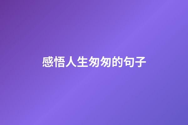 感悟人生匆匆的句子