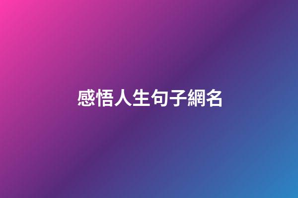感悟人生句子網名