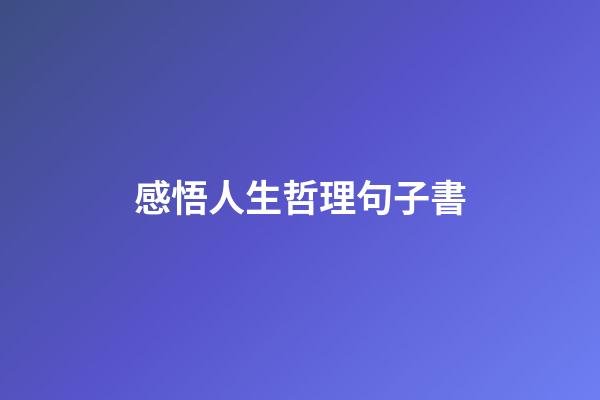 感悟人生哲理句子書
