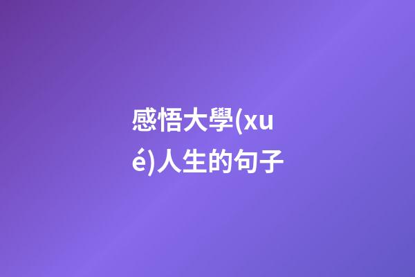 感悟大學(xué)人生的句子