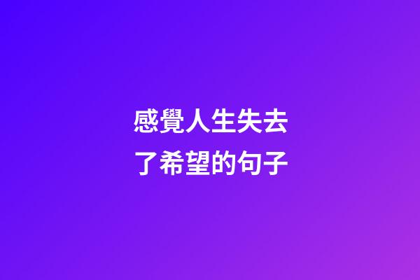 感覺人生失去了希望的句子