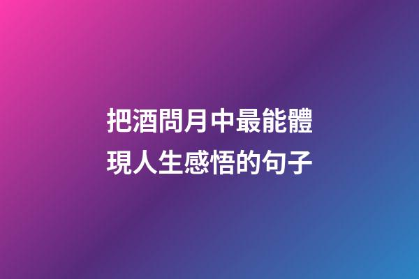 把酒問月中最能體現人生感悟的句子
