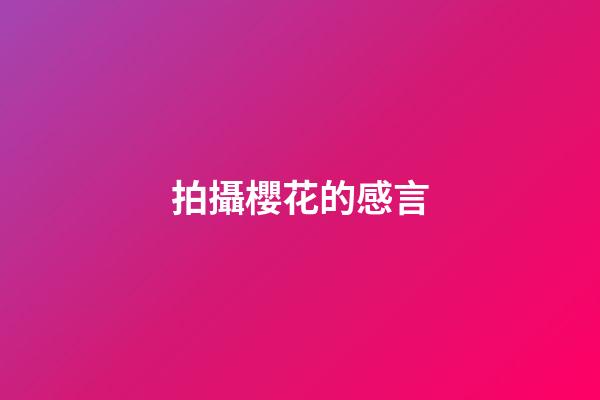 拍攝櫻花的感言