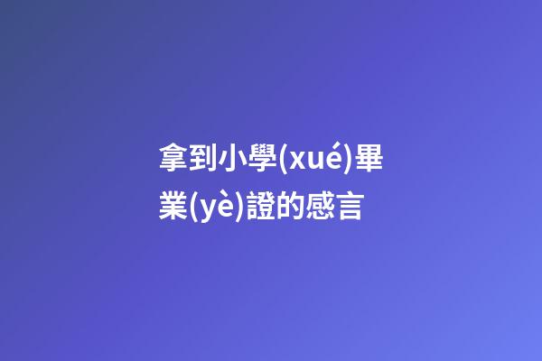 拿到小學(xué)畢業(yè)證的感言