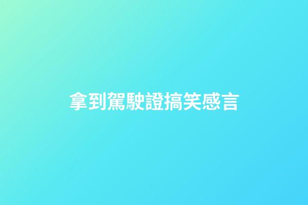 拿到駕駛證搞笑感言