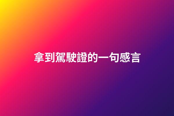 拿到駕駛證的一句感言