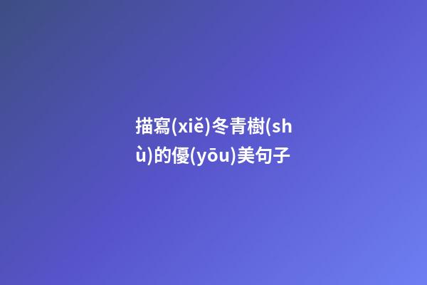 描寫(xiě)冬青樹(shù)的優(yōu)美句子