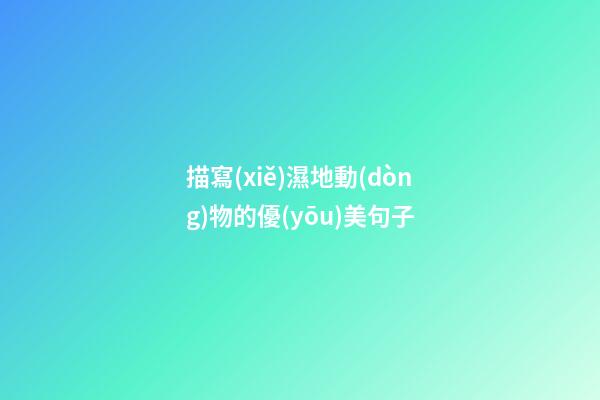 描寫(xiě)濕地動(dòng)物的優(yōu)美句子