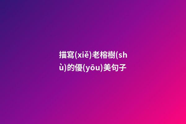 描寫(xiě)老榕樹(shù)的優(yōu)美句子