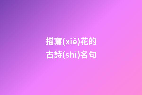 描寫(xiě)花的古詩(shī)名句