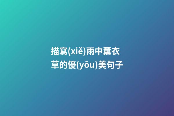 描寫(xiě)雨中薰衣草的優(yōu)美句子