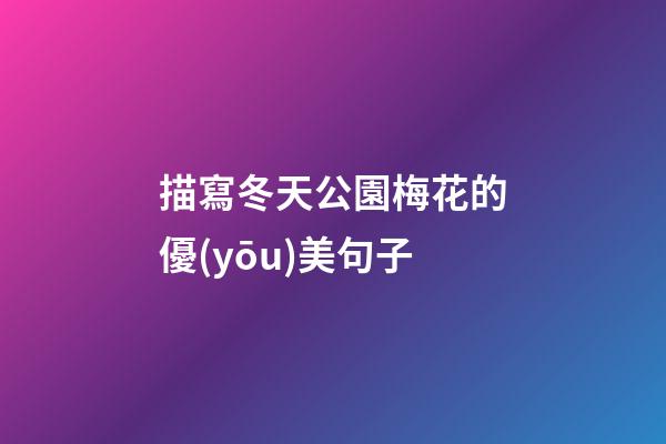 描寫冬天公園梅花的優(yōu)美句子