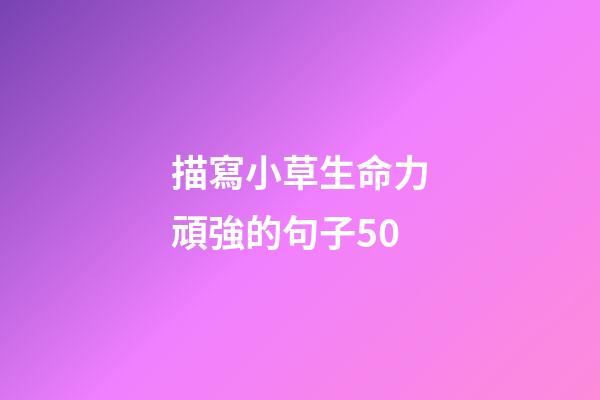 描寫小草生命力頑強的句子50