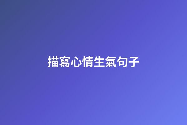 描寫心情生氣句子