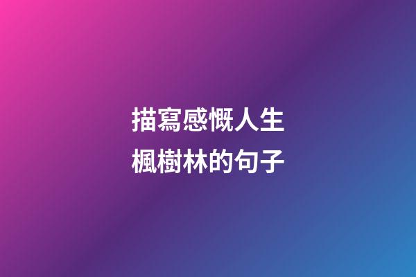描寫感慨人生楓樹林的句子