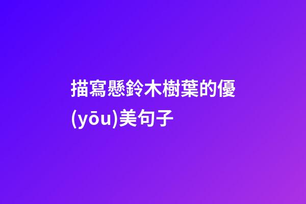 描寫懸鈴木樹葉的優(yōu)美句子