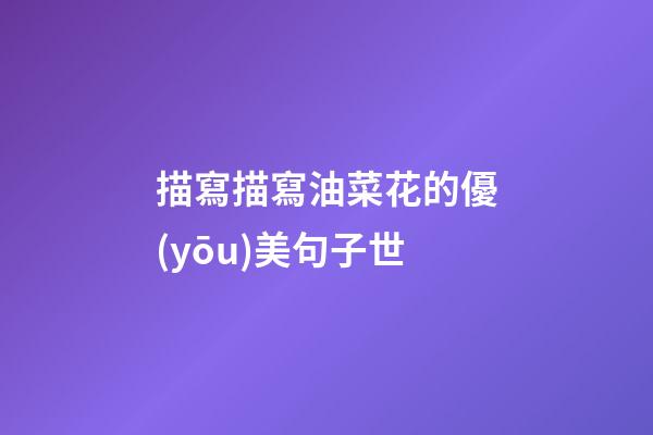 描寫描寫油菜花的優(yōu)美句子世