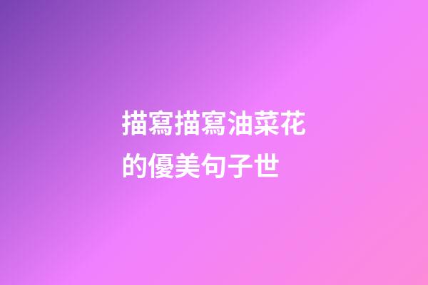 描寫描寫油菜花的優美句子世