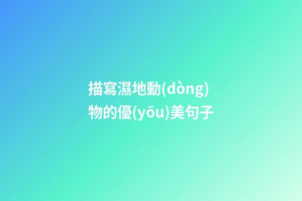 描寫濕地動(dòng)物的優(yōu)美句子