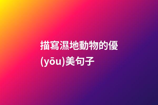 描寫濕地動物的優(yōu)美句子