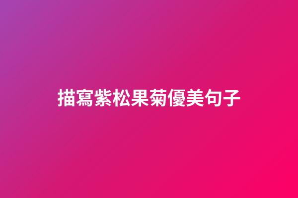 描寫紫松果菊優美句子