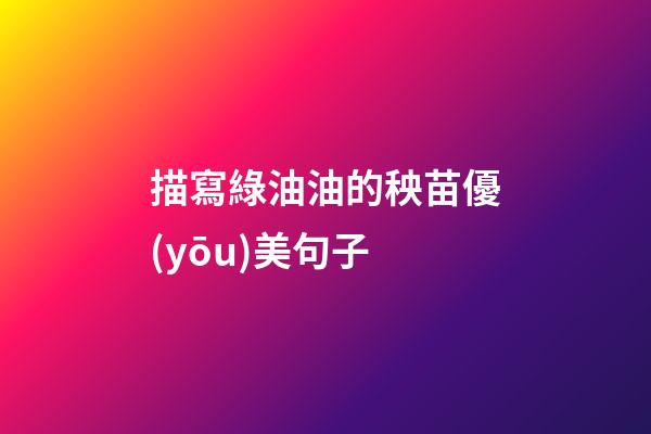 描寫綠油油的秧苗優(yōu)美句子