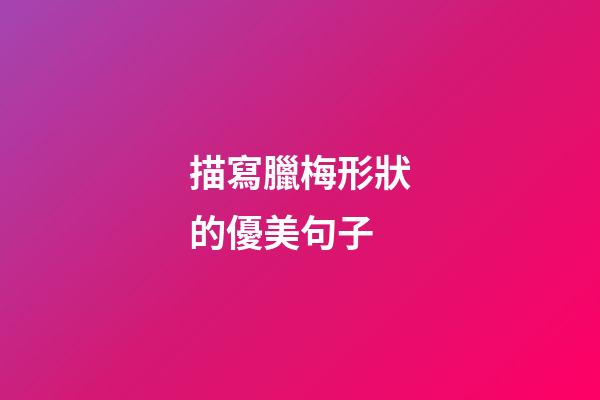 描寫臘梅形狀的優美句子