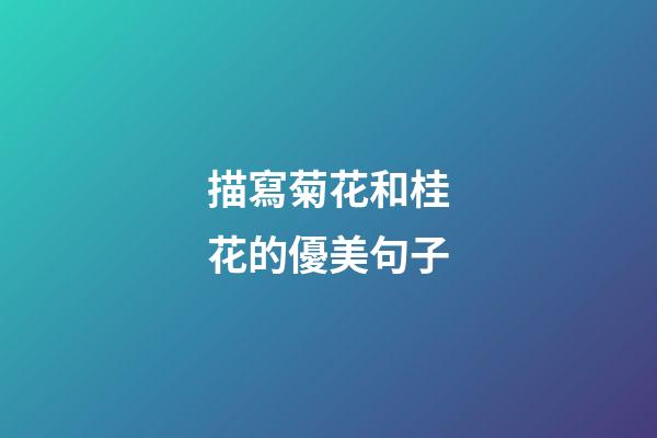 描寫菊花和桂花的優美句子