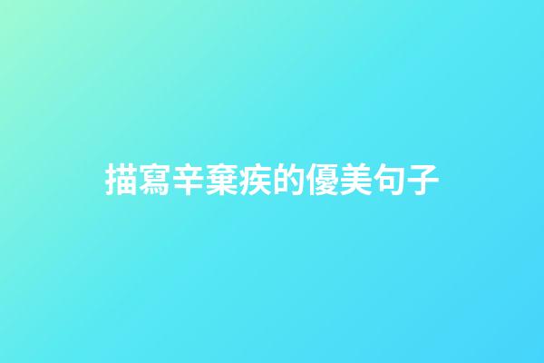描寫辛棄疾的優美句子