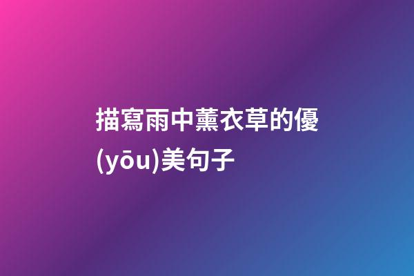 描寫雨中薰衣草的優(yōu)美句子