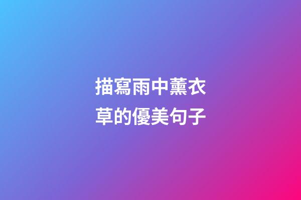 描寫雨中薰衣草的優美句子