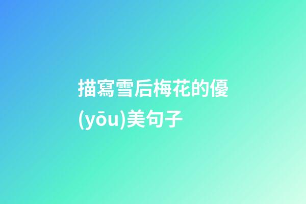 描寫雪后梅花的優(yōu)美句子