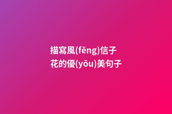 描寫風(fēng)信子花的優(yōu)美句子