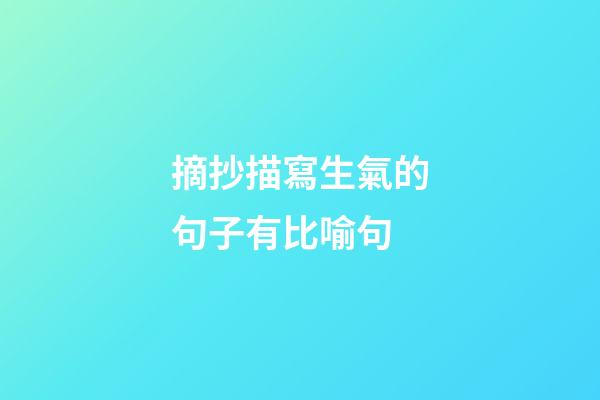 摘抄描寫生氣的句子有比喻句