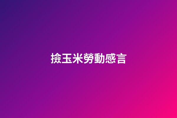 撿玉米勞動感言