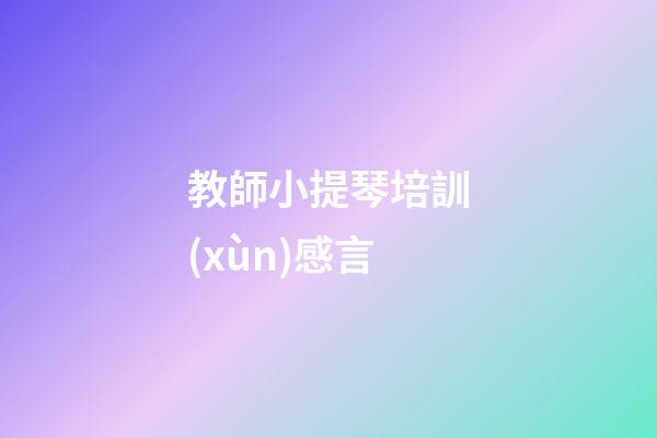 教師小提琴培訓(xùn)感言