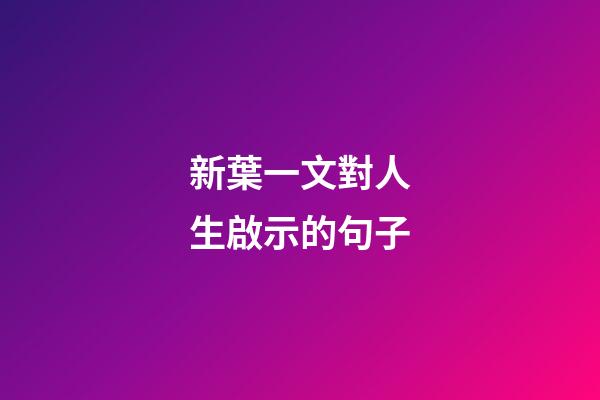 新葉一文對人生啟示的句子