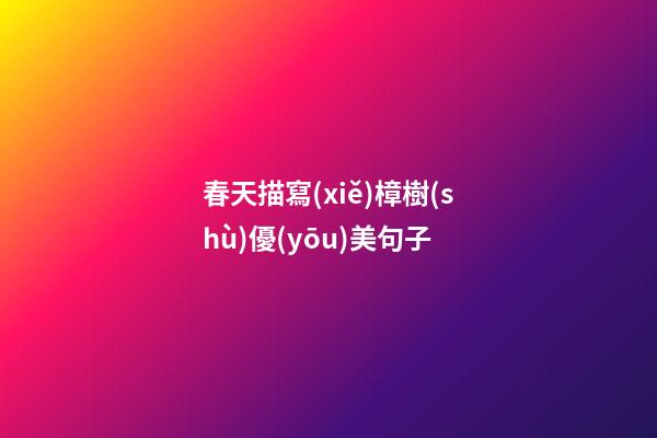 春天描寫(xiě)樟樹(shù)優(yōu)美句子