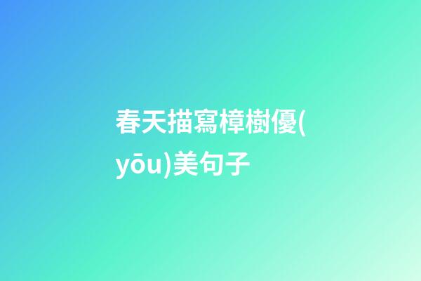 春天描寫樟樹優(yōu)美句子