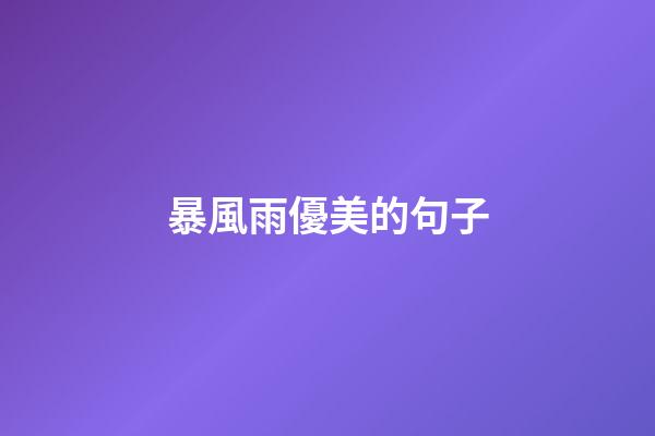 暴風雨優美的句子
