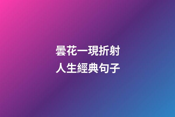 曇花一現折射人生經典句子