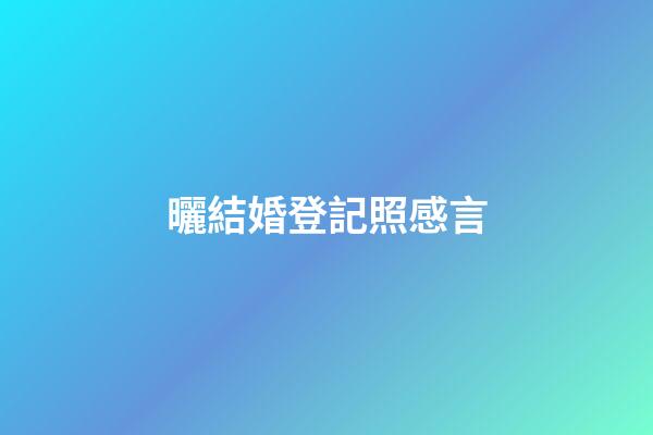 曬結婚登記照感言
