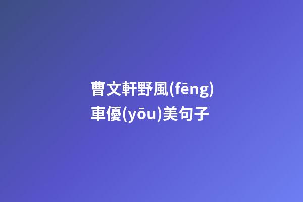 曹文軒野風(fēng)車優(yōu)美句子