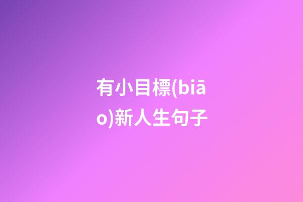 有小目標(biāo)新人生句子
