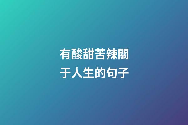 有酸甜苦辣關于人生的句子