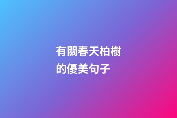 有關春天柏樹的優美句子