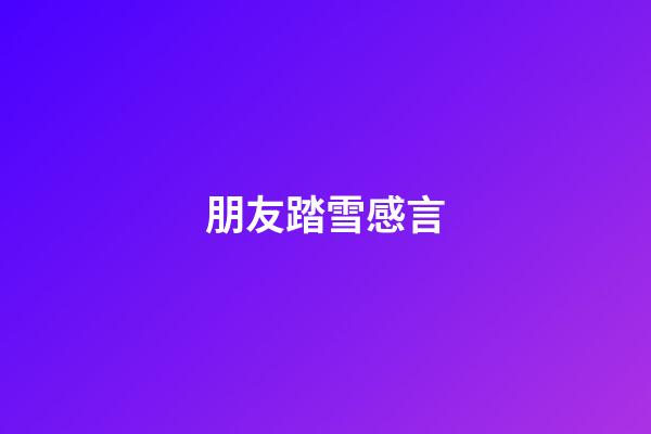 朋友踏雪感言